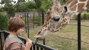 Buffalo Zoo