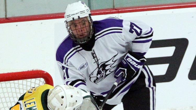 Niagara University