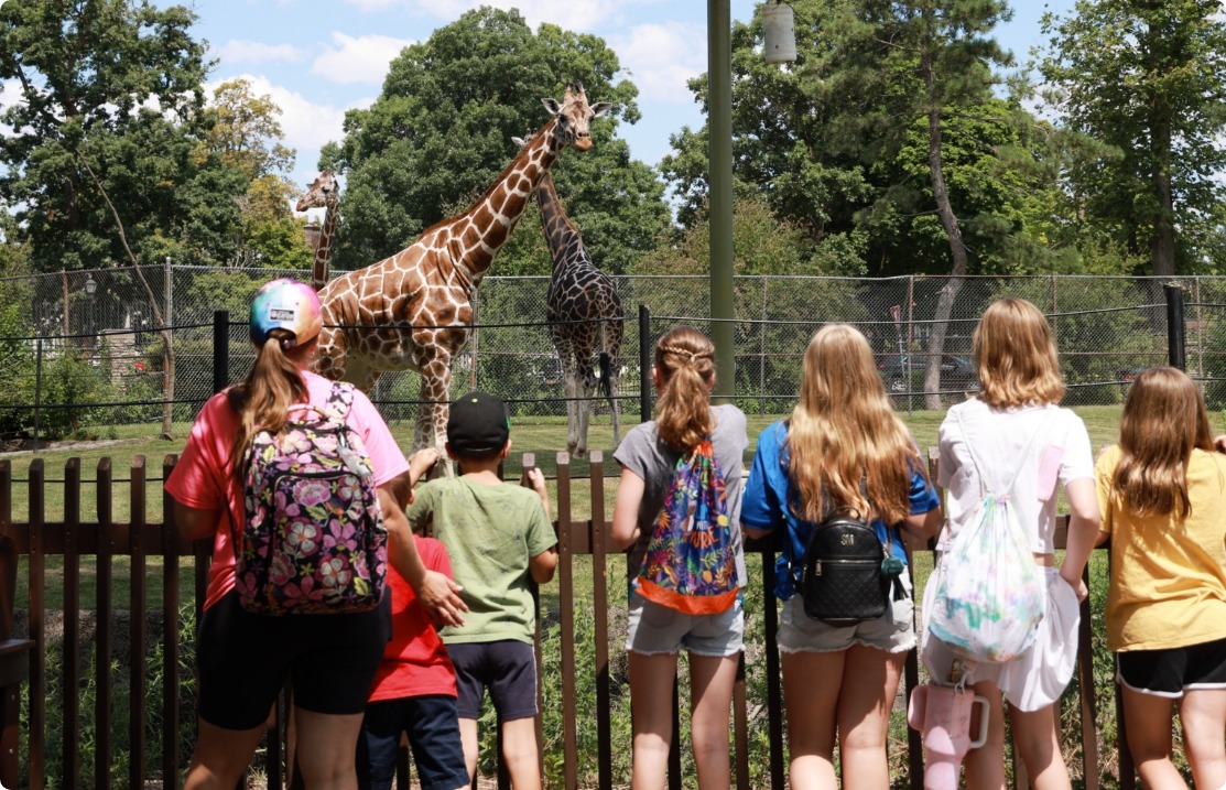 The Buffalo Zoo